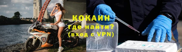 гашик Богданович