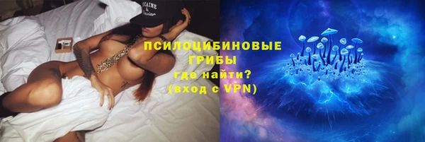гашик Богданович