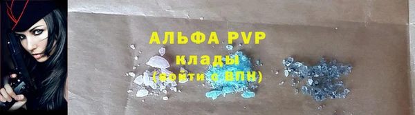 гашик Богданович