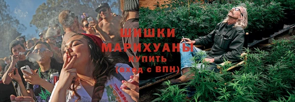 гашик Богданович