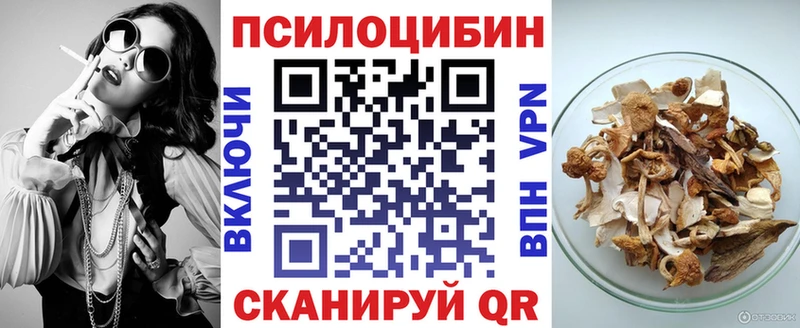 купить   Гороховец  кракен ссылки  Псилоцибиновые грибы MAGIC MUSHROOMS 